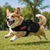 Arnés para mascotas, anti-estrangulamiento, transpirable, chaleco con correa para exteriores para perros, adecuado para Teddy, Corgi, perros grandes, medianos y pequeños, anti-pérdida y anti-escape