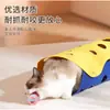 Bola de Brinquedo para Gato, Bola Colorida com Sino Grande, Autoentretenimento, Alívio do Tédio, Sino Sonoro, Bola Oca Colorida de Doce, Suprimentos para Gatos