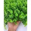 Simulación de pared de plantas verdes, césped artificial, decoración de pared, balcón, fondo interior, pared de flores, césped artificial de plástico, cabezal de puerta
