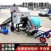 Máquina de Briquetagem de Palha Forrageira para Gado Pequeno e Ovelhas Exportação Máquina de Fardo e Filme Diesel Empacotadora Automática Verde para Armazenamento