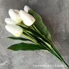 Paquete de Simulación Tulipán de 9 Puntas Proyecto Flor Salón de Bodas Hotel Estudio Accesorios Arreglo Floral Venta al por Mayor Comercio Exterior