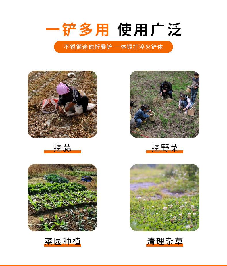 详情_05.jpg