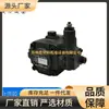 Taiwán REXPOWER Ruili PV2r1-08 PV2r1-12 PV2r1-14 PV2r1-19 PV2r1-23