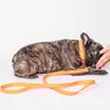 Coleira e guia para cachorro à prova d'água mais vendidas internacionalmente, coleira para cachorro ajustável revestida de PVC atacado