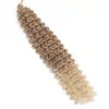 Extensiones de Cabello Rizado Largo con Trenzas Profundas de Verano de 12 pulgadas 22 pulgadas Fibra Sintética Africana Cabello para Crochet Pelucas para Mujeres
