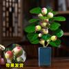 Dropshipping Árbol Bodhi en Maceta Bonsái Bodhi Pequeño con Fruto Adornos de Escritorio Zen Chino Interior Creativo Bueno