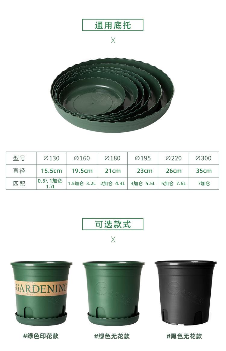 1_04.jpg