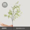 Simulación de Diseño de Sistema Zen Forest Helecho Planta de Hoja Persa Planta de Interior Simulación Decoración de Pared de Planta Espárrago de Simulación