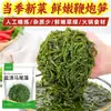 Petardos Brotes de Bambú Algas Frescas Sargazo Olla Caliente Platos Fríos Sal de Algas Hijiki Salado Venta Directa del Fabricante Comercial