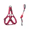 Conjunto de coleira e peitoral para cachorro com peitoral ajustável, alça acolchoada, guia redonda para passear com cães pequenos e médios, em estoque