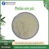 Hami Melon Powder 99% Freeze Dried Hami Melon Powder Spray Dried Hami Melon Juice Powder 1kg em estoque