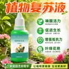 Solución Revitalizante Específica para Plantas Flor de Maceta Crecimiento Absorción Activa para Tallos Desnudos Caída de Hojas Amarillas Crecimiento Rápido Tipo General