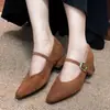 Zapatos Mary Jane de Nuevo Estilo para Mujeres Petites, Aumenta la Altura en 7CM, Tacón Grueso, Correa Única, Marrón Hoja de Arce, Zapatos de Oficina