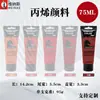 Traje de pintura acrílica de 75ML transfronterizo pintura acrílica para estudiantes pintura acrílica especial para estudio
