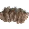 80 estilos pluma de gallo silvestre pluma real decoración india accesorios diy accesorios para el cabello materiales juguete para gatos con plumas accesorios para el palo de juguete colchón