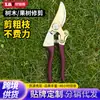 Herramientas de jardinería, tijeras de podar, tijeras de jardinería para bonsái, tijeras para podar ramas, tijeras para flores, tijeras grandes para ramas de ahorro de mano de obra, venta al por mayor