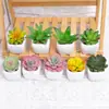 Oferta Especial del Fabricante: Plantas Suculentas Artificiales en Macetas de Cerámica para Escritorios de Oficina Interiores, Plantas Verdes Pequeñas en Maceta, Flores Falsas, Plantas Suculentas en Maceta