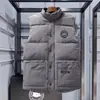 Chaleco de Plumas de Ganso Otoño e Invierno Nuevo Engrosado de Moda Casual sin Mangas Chaqueta de Plumas Chaleco Térmico de Plumas de Pato para Hombres y Mujeres