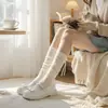 Meias estilo Ballet com Laço e Calcanhar Levemente Transparentes, Meias Finas e Fashion para Panturrilha para Primavera e Verão