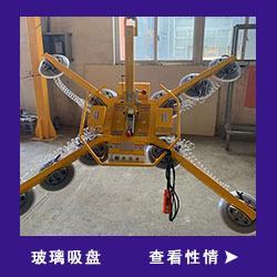 玻璃吸盘1 (2)