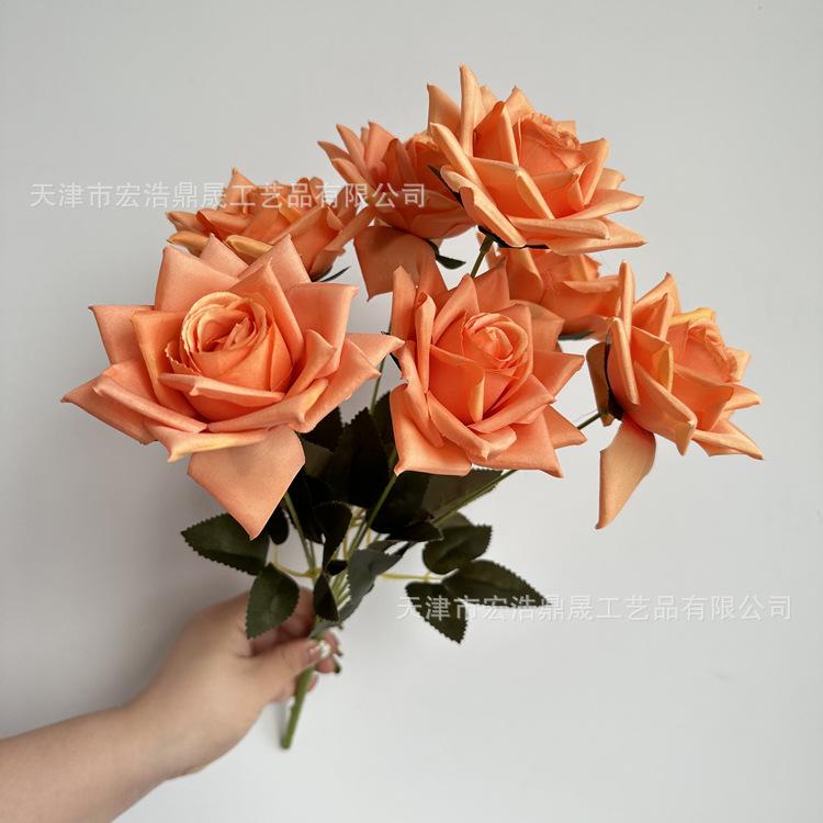 微信图片_202303081757423_副本