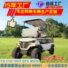 Nuevo Modelo de Carrito de Golf con Cubo para Turismo, Recorridos Inmobiliarios, Recepción en Aeropuertos y Uso como Carrito de Golf Eléctrico