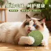 Brinquedo de Bola de Catnip para Dentição e Limpeza Dental de Gatos Entretenimento Autônomo para Gatos Bastão com Bola de Catnip de Madeira Extra Grande 10cm