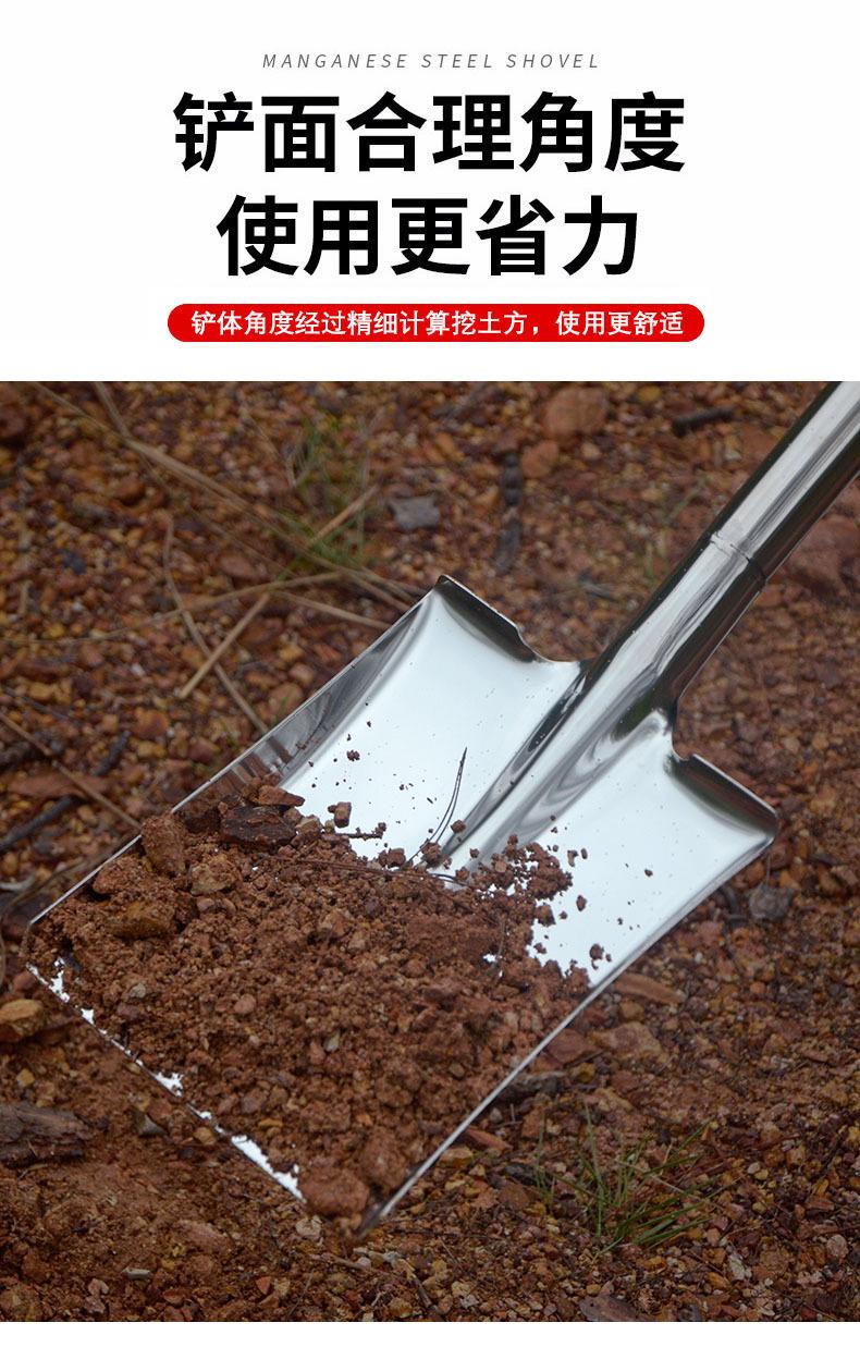 详情4