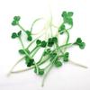 Brotes de Frijol Simulados Accesorios para Sushi Japonés y Coreano Brotes Verdes de PVC Adornos de Frutas y Verduras para Hotel Restaurante Juguetes Educativos para Niños