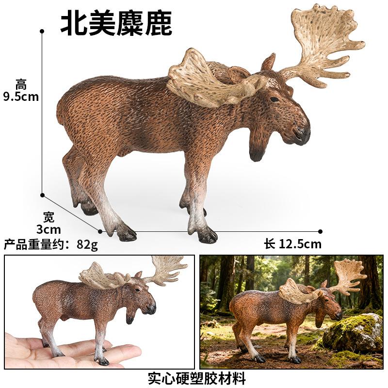 M4081北美麋鹿