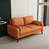 Sala de estar de lujo ligero, Dormitorio de apartamento pequeño, Apartamento de alquiler, Recepción y área de descanso de tienda de ropa, Sofá pequeño de tela doble o triple