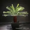 Simulación de árbol de hierro planta en maceta interior y exterior pequeño árbol cyocan interior y exterior plantas de jardín artificiales adornos de bonsái de árbol de hierro