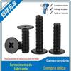 Parafuso de cabeça chata cruzada de aço inoxidável 304 preto parafuso de caderno parafuso de cabeça chata CM M2M3M4M5M6