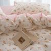 Nuevo estilo de algodón lavado de ala ancha estampado de cuatro piezas Juego de ropa de cama para el hogar de alta densidad y alto recuento Cuatro estaciones Universal Exquisito Agradable para la piel