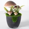 Maceta de lana artificial para plantar hongos, pequeña, fresca, para jardinería doméstica, bonsái de escritorio, planta verde, plantas en maceta, adornos decorativos para el hogar.