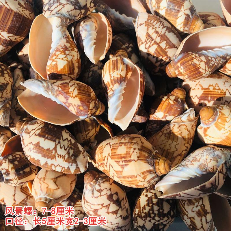 QQ图片20210913151842.jpg