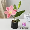 Novo produto: Uma Flor, Um Fruto, Pequeno Bonsai de Lírio, Planta Artificial de Flor para Estudo Interno, Decoração de Mesa de Escritório