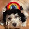 Gorro de punto con forma de gato para mascotas, tejido a mano, estilo transfronterizo de Amazon, accesorios para fotos