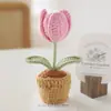 Plantas de Tulipán Tejidas a Crochet Hechas a Mano de Venta Caliente Transfronteriza, Flores Eternas, Decoraciones de Escritorio, Regalos de Inauguración