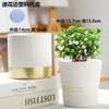 Vaso de Flores Cerâmico Estilo Ins Nórdico fosco simples para interior Phalaenopsis tulipa verde vaso grande para plantas verdes
