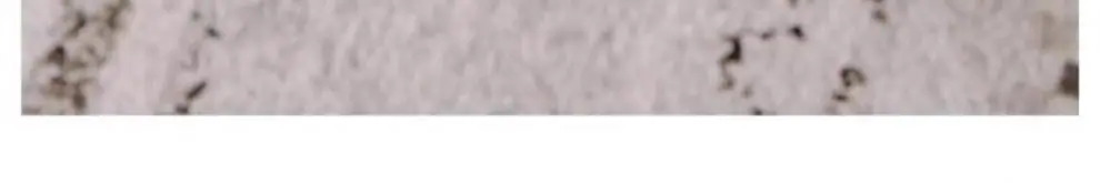 20aceefd-3d5c-4f28-bda4-fcd6ca6b6d09.png