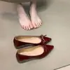 Zapatos Planos Mary Jane con Lazo para Uso en Exteriores, Nuevos Zapatos Planos para Mujer Primavera 2025, Zapatos de Punta Estilo Commuter para Mujer