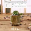 Maceta de Bambú Personalizada Retro Creativa Colgante Suculenta Tubo de Bambú Balcón Junta de Bambú Maceta Planta en Maceta Decoración DIY