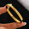 Nuevo Pulsera de Acero Inoxidable 2025, Modelo Más Vendido Transfronterizo en Europa y América, Lujo Ligero, Sensación de Alta Gama, Circonita Microincrustada, Pulsera de Alta Gama para Mujer