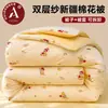 Colcha de Gasa de Doble Capa Clase A de Algodón de Xinjiang, Lavable, Núcleo de Colcha Estampado, Ropa de Cama Engrosada para Primavera/Otoño, Colcha Cálida de Invierno para Dormitorio