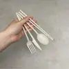 Conjunto Portátil de Talheres de Palha de Trigo com Quatro Peças para Estudantes Viajantes Colher, Faca, Garfo e Hashis Portáteis Coreanos