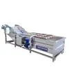Máquina de Lavar Frutas e Legumes Totalmente Automática, Limpeza por Spray de Alta Pressão para Milho, Ervas Medicinais Chinesas, Equipamento de Processamento de Vegetais, Frutas com Bolhas