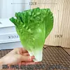 Modelo de Alface para Simulação Alface e Caquis para Jogar no Casamento Buquê da Noiva Celebração de Casamento Adereços de Casamento Decoração de Vegetais Exibição