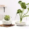 Vaso de vidro transparente redondo chanfrado criativo para atacado, para micro paisagem e suculentas, item de decoração para casa