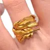 Anillo de Pluma Cepillada Irregular Estilo Francés Lujo Ligero Retro Nuevo Chino Personalidad Tendencia Nacional Versátil Exquisito Anillo
